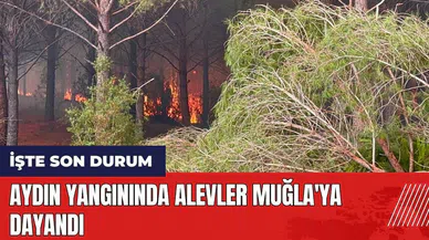 Aydın yangınında alevler Muğla'ya dayandı