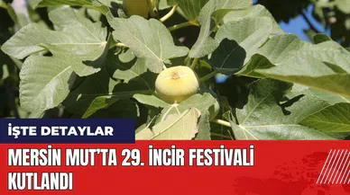 Mersin Mut’ta 29. İncir Festivali kutlandı