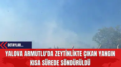 Yalova Armutlu'da Zeytinlikte Çıkan Yangın Kısa Sürede Söndürüldü