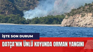 Datça'nın ünlü koyunda orman yangını