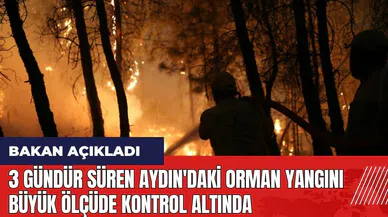 3 gündür süren Aydın'daki orman yangını büyük ölçüde kontrol altında!