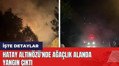 Hatay Altınözü'nde ağaçlık alanda yangın çıktı