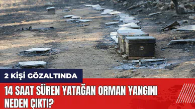 14 saat süren Yatağan orman yangını neden çıktı? İşte yangının çıkış yeri