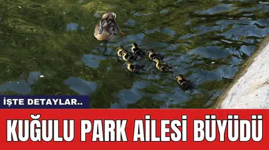 Kuğulu Park ailesi büyüdü