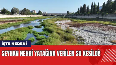 Seyhan Nehri yatağına verilen su kesildi! İşte nedeni