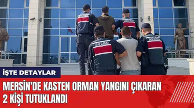 Mersin'de kasten orman yangını çıkaran 2 kişi tutuklandı