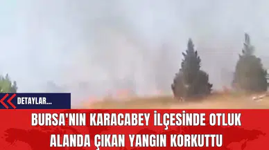 Bursa'nın Karacabey İlçesinde Otluk Alanda Çıkan Yangın Korkuttu
