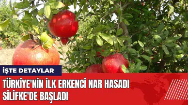 Türkiye'nin ilk erkenci nar hasadı Silifke'de başladı