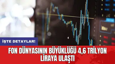 Fon dünyasının büyüklüğü 4,6 trilyon liraya ulaştı