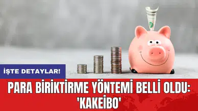 Para biriktirme yöntemi belli oldu: 'Kakeibo'