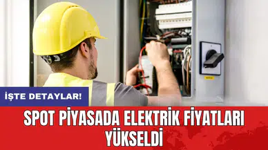 Spot piyasada elektrik fiyatları yükseldi