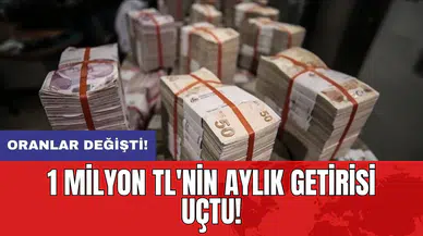 Oranlar değişti: 1 milyon TL'nin aylık getirisi uçtu!