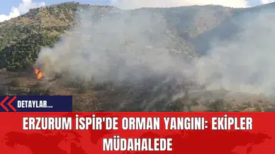 Erzurum İspir'de Orman Yangını: Ekipler Müdahalede