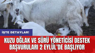 Kuzu oğlak ve sürü yöneticisi destek başvuruları 2 Eylül'de başlıyor