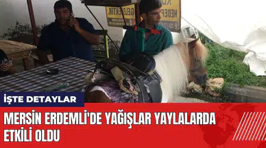 Mersin Erdemli'de yağışlar yaylalarda etkili oldu