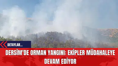 Dersim'de Orman Yangını: Ekipler Müdahaleye Devam Ediyor