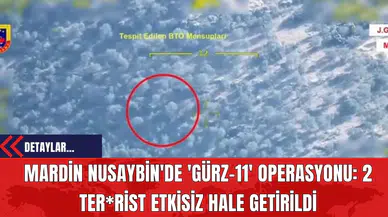 Mardin Nusaybin'de 'Gürz-11' Operasyonu: 2 Ter*rist Etkisiz Hale Getirildi