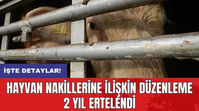 Hayvan nakillerine ilişkin düzenleme 2 yıl ertelendi