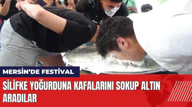 Silifke yoğurduna kafalarını sokup altın aradılar
