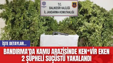 Bandırma'da Kamu Arazisinde Ken*vir Eken 2 Şüpheli Suçüstü Yakalandı