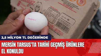 Mersin Tarsus'ta tarihi geçmiş milyonlarca liralık ürüne el konuldu