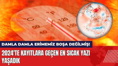 2024'te kayıtlara geçen en sıcak yazı yaşadık!