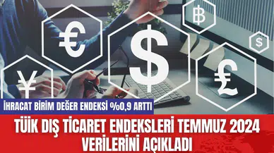 TÜİK Dış Ticaret Endeksleri Temmuz 2024 Verilerini Açıkladı