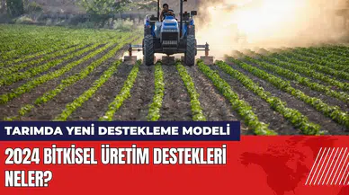 Tarımda yeni destekleme modeli: 2024 Bitkisel Üretim Destekleri neler?