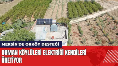 Mersin'de ORKÖY desteği! Orman köylüleri elektriği kendileri üretiyor