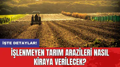 İşlenmeyen tarım arazileri nasıl kiraya verilecek? 10 soru cevap
