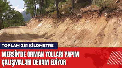 Mersin'de orman yolları yapım çalışmaları devam ediyor