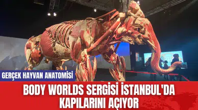 Body Worlds sergisi İstanbul'da Kapılarını Açıyor