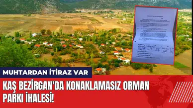 Kaş Bezirgan'da Konaklamasız Orman Parkı ihalesi! Muhtardan itiraz var