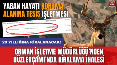 Konyaaltı Orman'dan Döşemealtı'nda yaban hayatı koruma alanına ihale