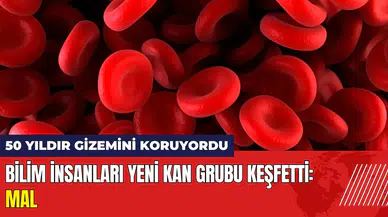Bilim insanları yeni kan grubu keşfetti! MAL kan grubu nedir?