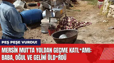 Mersin Mut'ta yoldan geçme katl*amı: Baba, oğul ve gelini öld*rdü