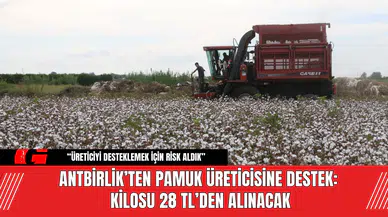 ANTBİRLİK’ten Pamuk Üreticisine Destek: Kilosu 28 TL’den Alınacak