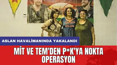 MİT ve TEM'den P*K'ya nokta operasyon: Aslan havalimanında yakalandı