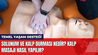 Solunum ve kalp durması nedir? Kalp masajı nasıl yapılır?