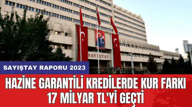 Hazine garantili kredilerde kur farkı 17 milyar TL'yi geçti