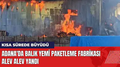 Adana'da balık yemi paketleme fabrikası alev alev yandı