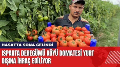 Isparta Deregümü Köyü domatesi yurt dışına ihraç ediliyor