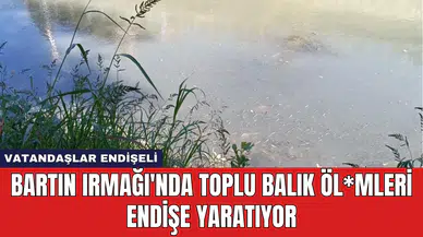 Bartın Irmağı'nda Toplu Balık Öl*mleri Endişe Yaratıyor