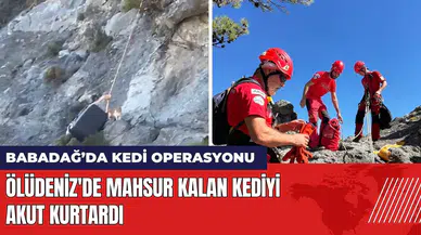Ölüdeniz'deki sarp kayalıklarda mahsur kalan kediyi AKUT kurtardı