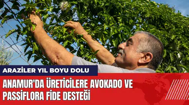Anamur'da üreticilere avokado ve passiflora fide desteği