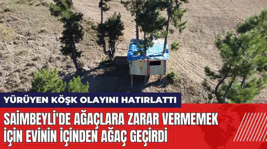 Saimbeyli'de ağaçlara zarar vermemek için evinin içinden ağaç geçirdi