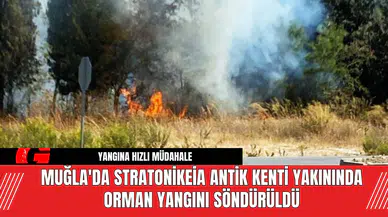 Muğla'da Stratonikeia Antik Kenti Yakınında Orman Yangını Söndürüldü