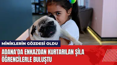 Adana'da enkazdan kurtarılan Şila öğrencilerle buluştu