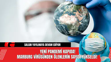 Yeni Pandemi Kapıda! Marburg Virüsünden Ölenlerin Sayısı Yükseldi!