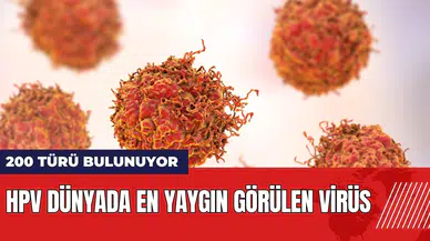 HPV dünyada en yaygın görülen virüs: 200 türü bulunuyor